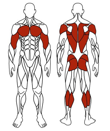 СТ 010 Эллиптический.JPG