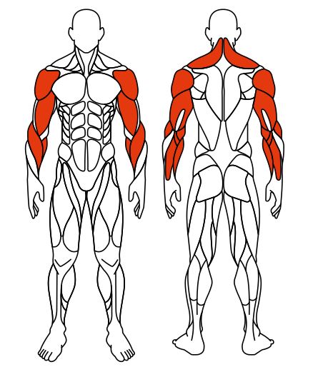 СТ 104 Рули (положение сидя).JPG