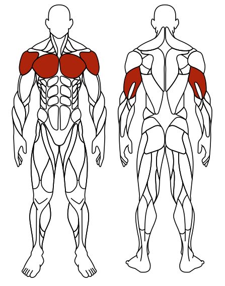 СТ 006 Жим от груди.JPG